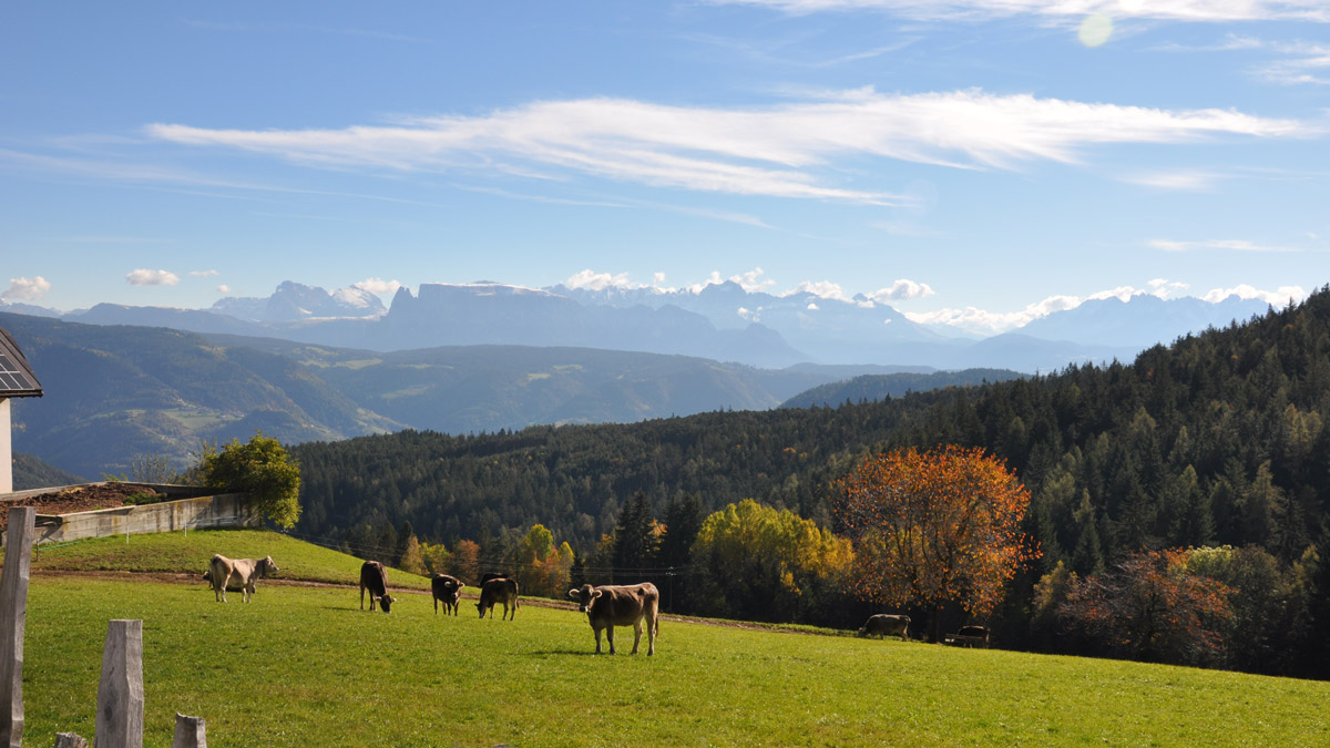 Südtirol, oberhalb der Weinberg-Grenze. Foto WR