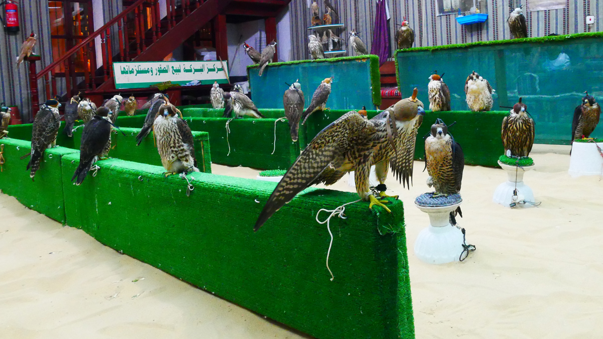 In Dohas Altstadt finden sich viele Geschäfte für Jagdfalken. Foto JW