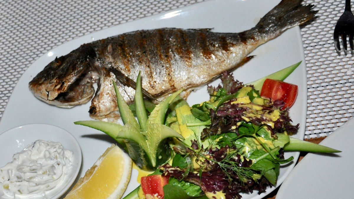 Restaurant Marco: Dorado vom Grill mit Salatbouquet