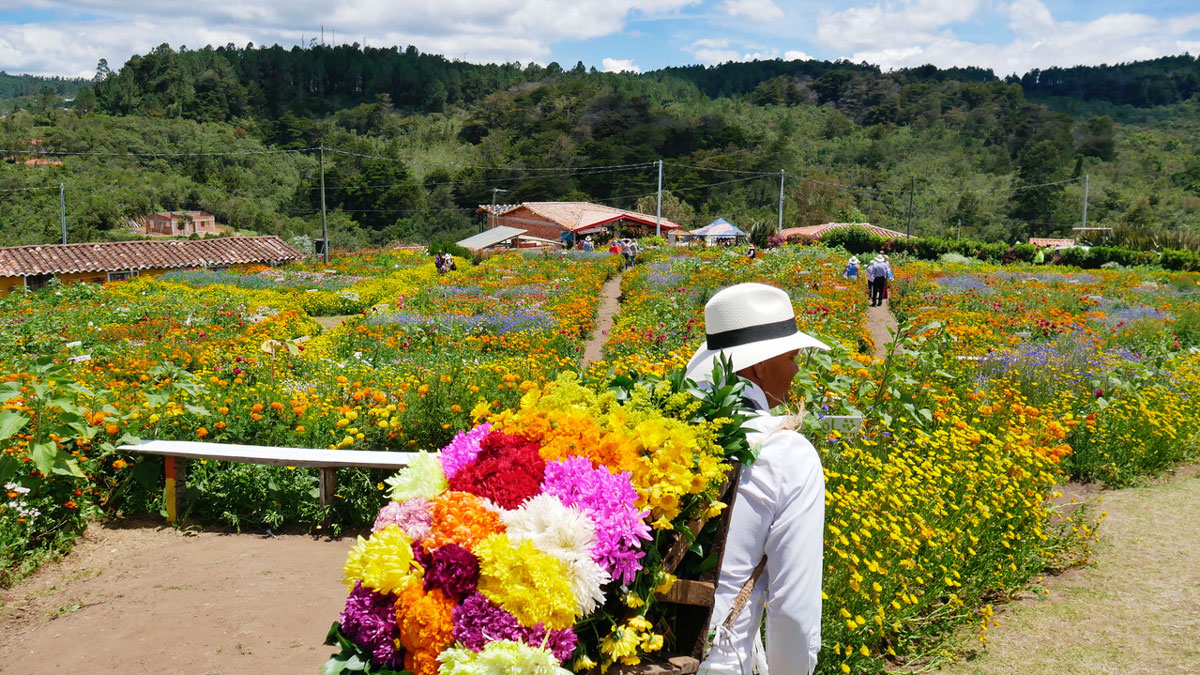 Blumenfarm in den Bergen von Medellin