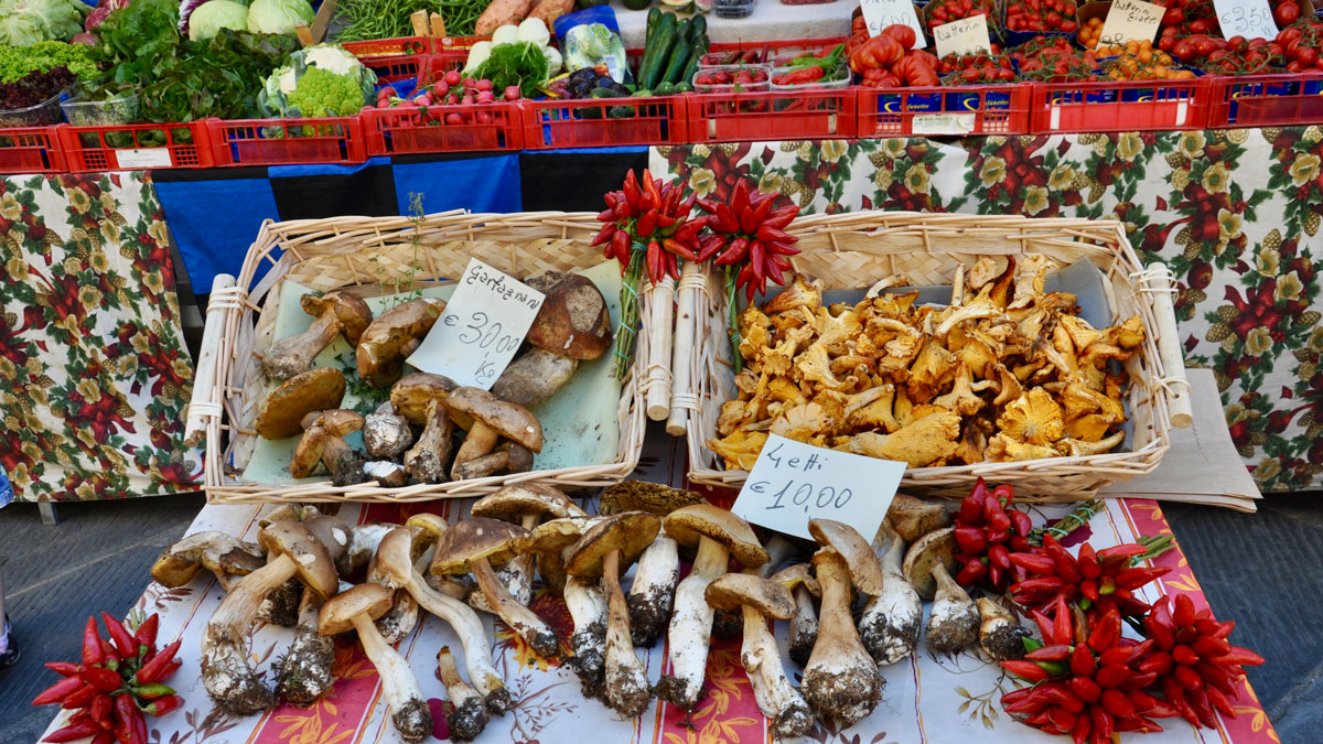 Pisa: kleine Märkte bieten regionale Produkte aus dem Garfagnana Tal. Foto WR