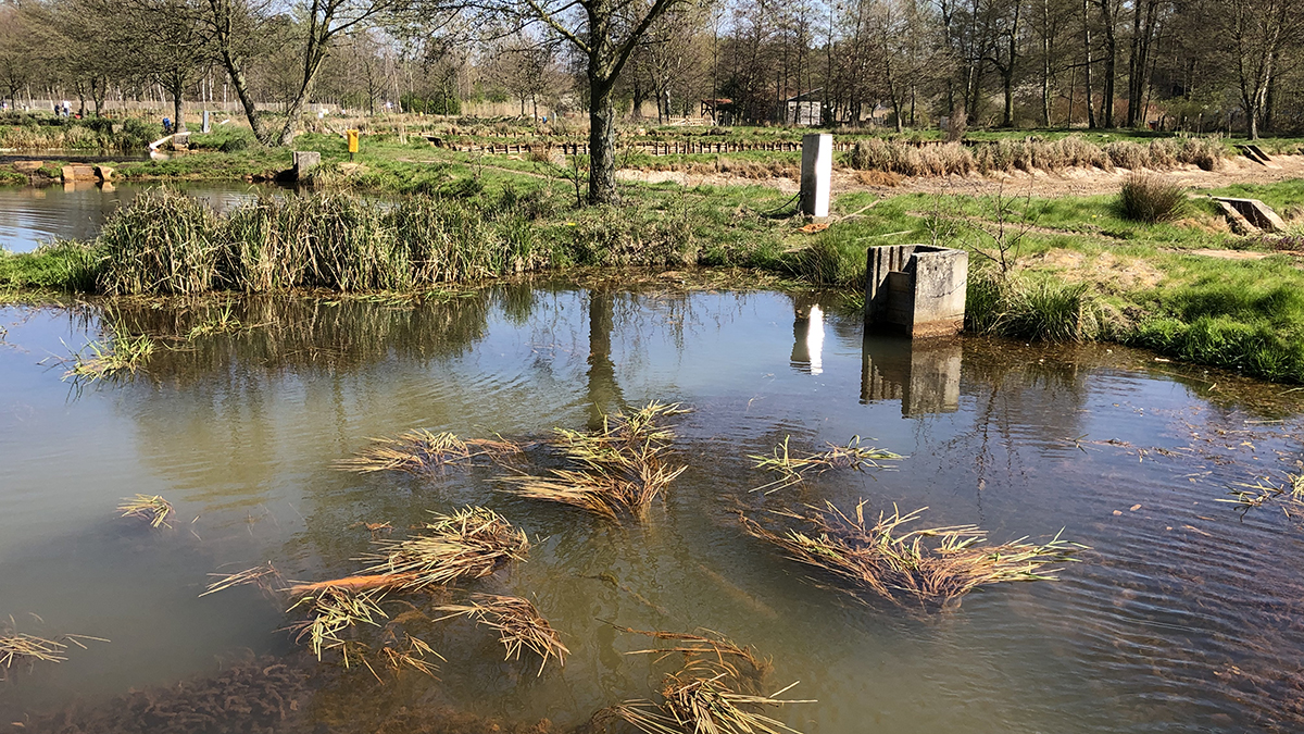 Aus dieser Fischzucht von Matthias Engels bezieht Marco Müller seine Fische. Zwei Teiche stehen ihm hier exklusiv zur Verfügung. Foto Marco Müller