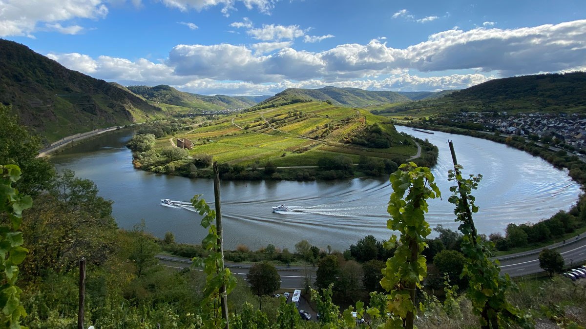 Schöne Kurve: Blick auf die Moselschleife vom Bremmer Calmont, dem steilsten Weinberg Europas (Foto: Hemme)