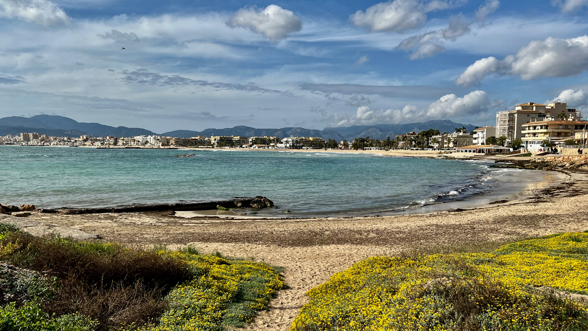 El Bungalow: Blick auf die Bucht von Palma Foto WR